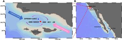 Local and remote forcing on the interannual variations of the sedimentary δ15N in Santa Barbara Basin during the past 80 years